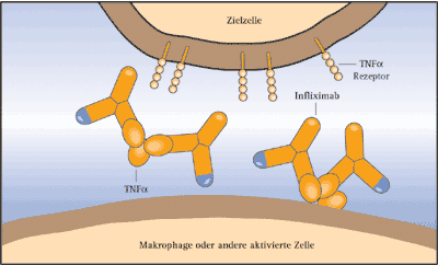 infliximab_3_01_d.gif