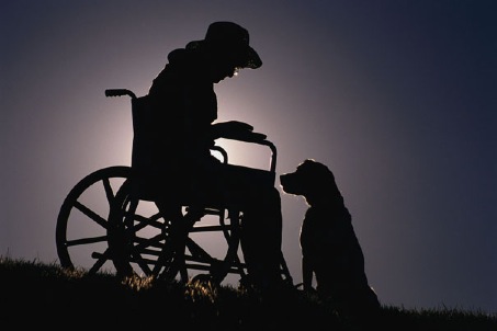 wheelchair.jpg