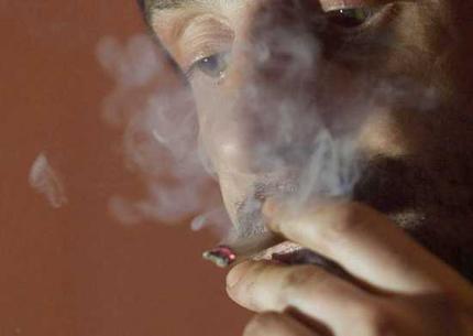 cannabis_wideweb__430x305.jpg