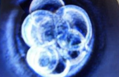 hfea_1189051538.jpg