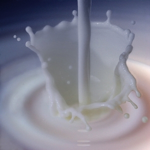 la-b-c-delle-vitamine-b.jpg