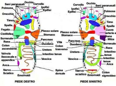 riflessologia-plantare-la-salute-comincia-dai-piedi.jpg