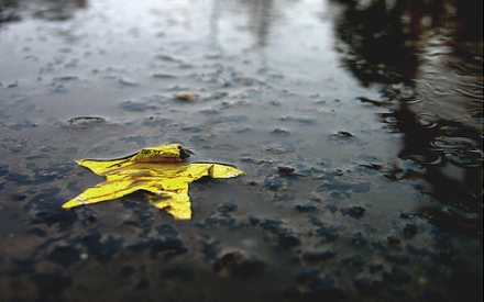 stars-and-rain-madre-cinese-con-figlio-autistico-pensa-al-suicidio-omicidio-ma-un-sorriso-la-salva-foto.jpg