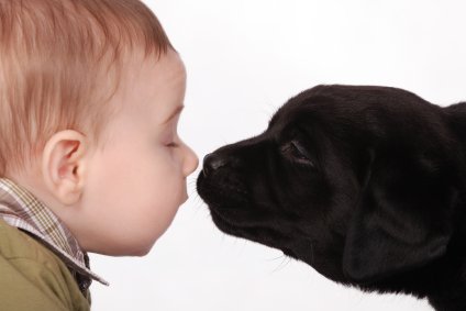 meno-allergie-per-i-bambini-con-un-cane-in-casa-foto.jpg