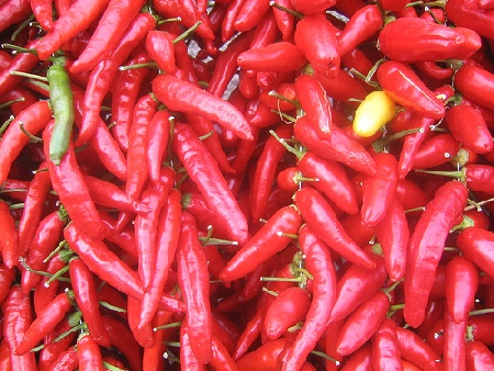 peperoncino.jpg