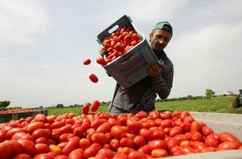 salute-sul-lavoro-sempre-piu-precaria-foto2.jpg
