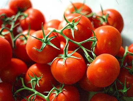 alimentazione-estiva