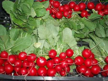 frutta-e-verdura-contro-il-cancro-allesofago