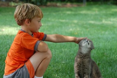 i-gatti-contro-asma-e-allergie