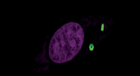nanotecnologie-e-la-forma-non-la-dimensione-a-fare-la-differenza