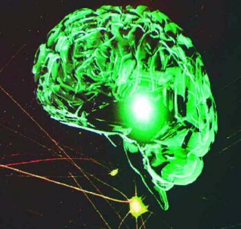 neuroetica