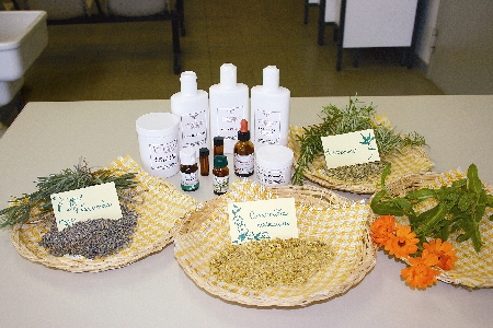 fitoterapia