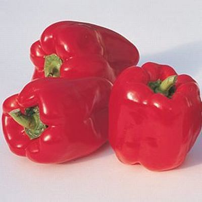 peperone-ace-ogm