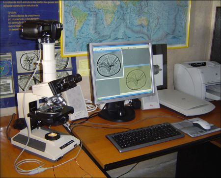 laboratorio ricerca