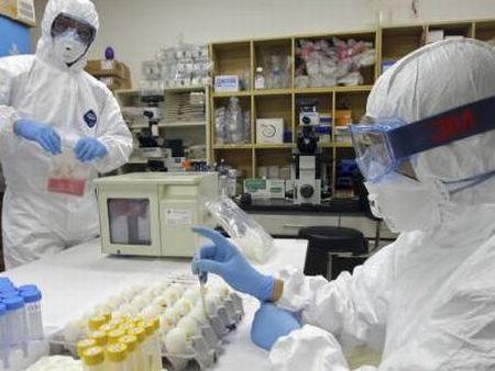 ricerca influenza suina ricerca influenza suina