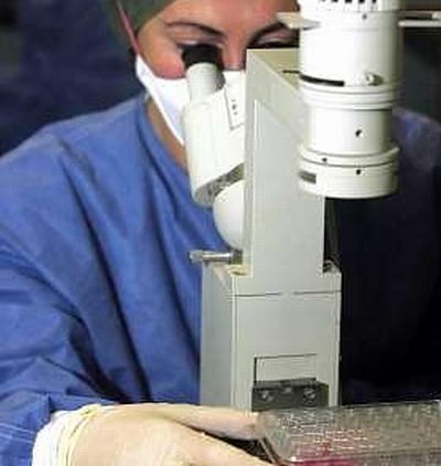 ricerca cancro ricerca cancro