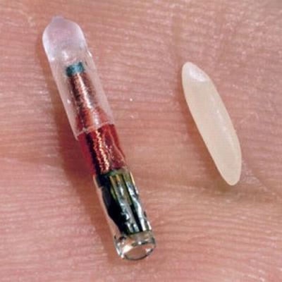 microchip_pillola microchip_pillola