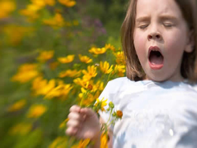 Hamer: Le allergie sono segnali d’allarme