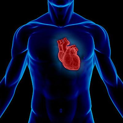 amiloidosi cardiaca1