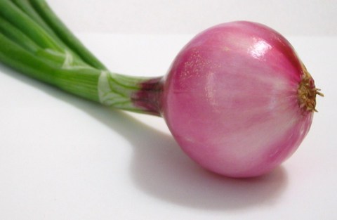 benefici cipolla