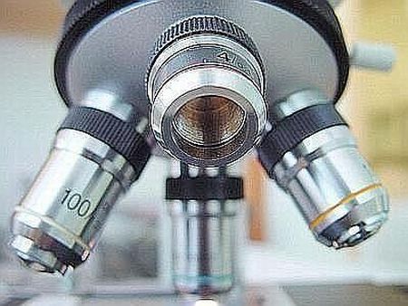 microscopio