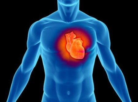 heart