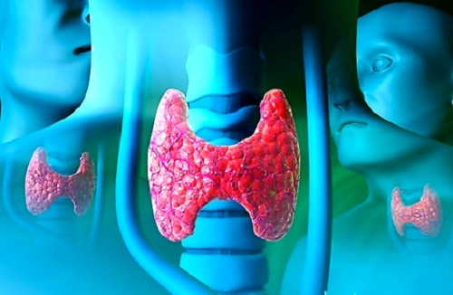 Risultati immagini per tiroide e iodio