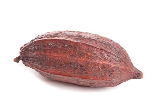 Declino cognitivo cacao
