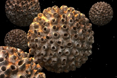 vaccinazione contro hpv punto situazione