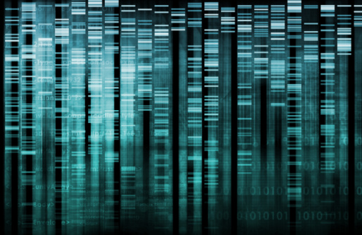 corpo umano mosaico dna diversi