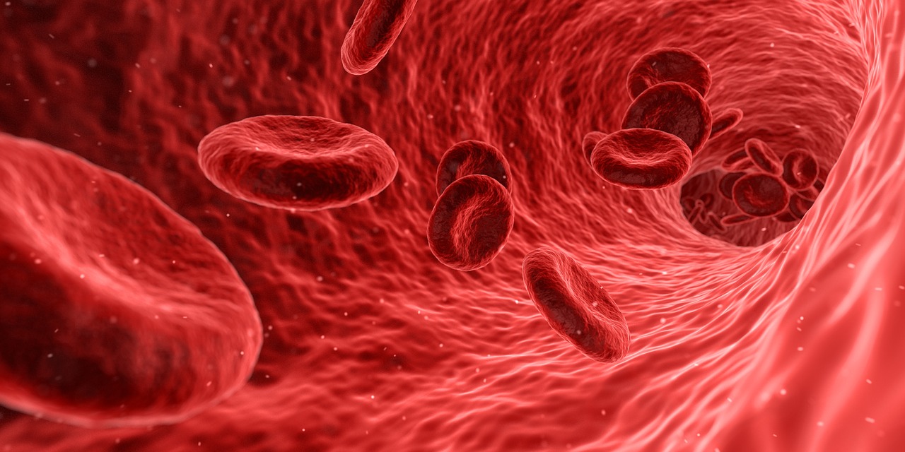 Albumina bassa nel sangue