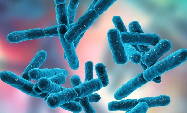 probiotici contro stress rientro