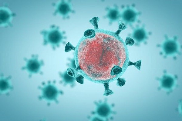 anticorpi coronavirus